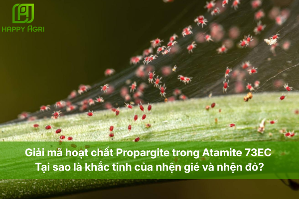 Giải mã hoạt chất Propargite trong Atamite 73EC: Tại sao là khắc tinh của nhện gié và nhện đỏ?