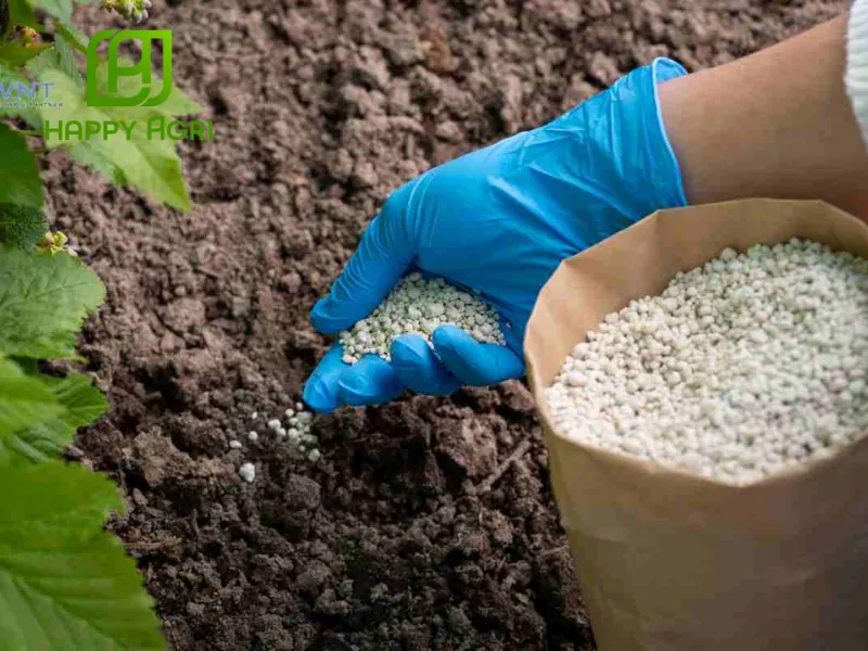 Phân Bón Lá Organic Là Gì?