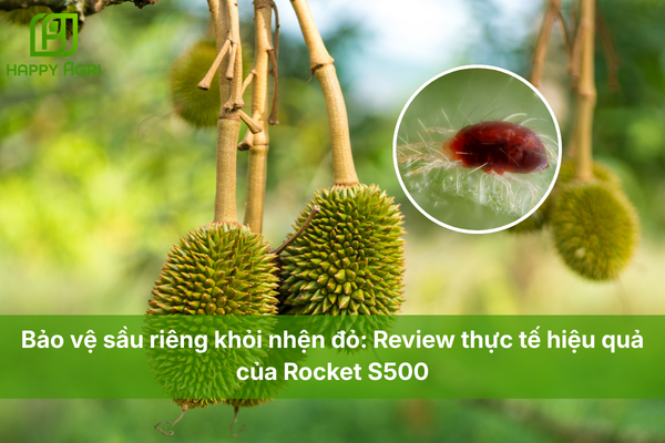 Bảo vệ sầu riêng khỏi nhện đỏ: Review thực tế hiệu quả của Rocket S500