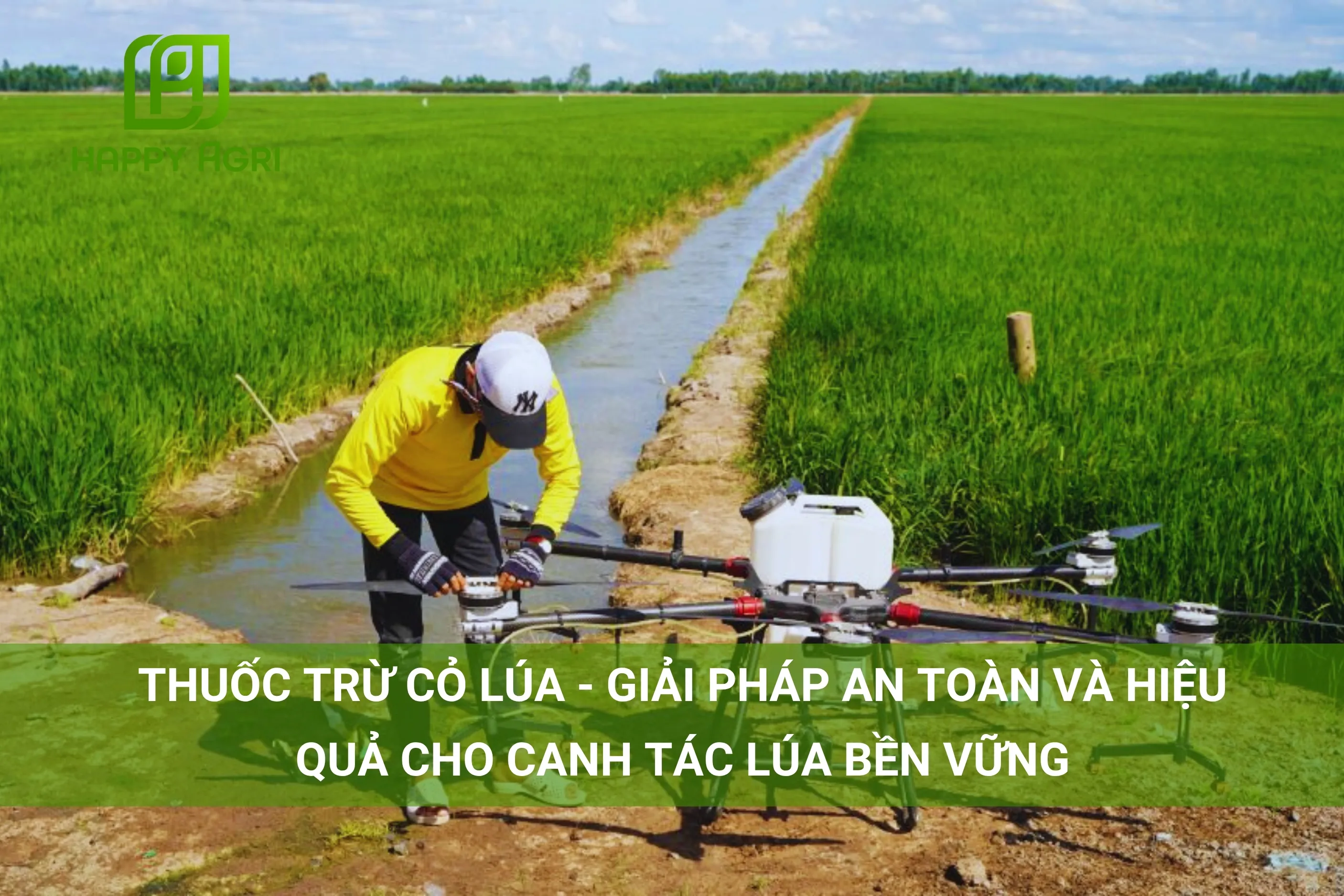 THUỐC TRỪ CỎ LÚA - GIẢI PHÁP AN TOÀN VÀ HIỆU QUẢ CHO CANH TÁC LÚA BỀN VỮNG