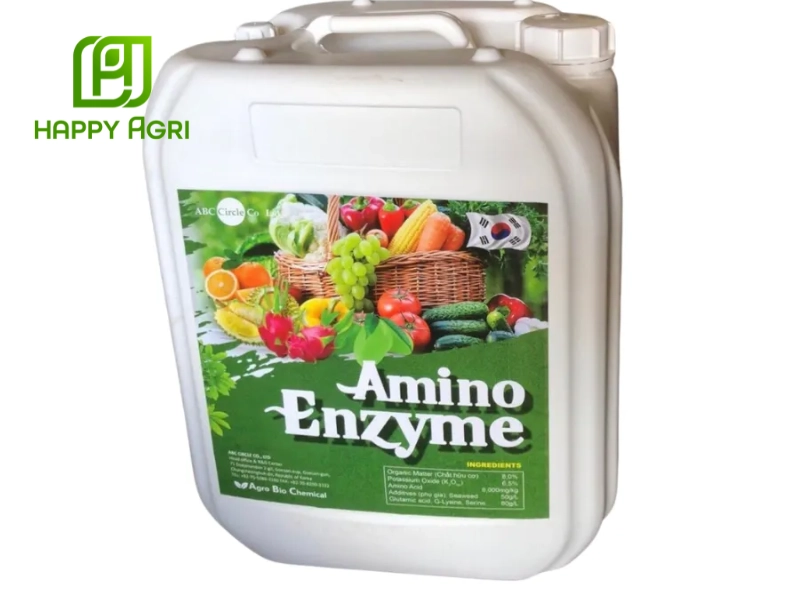 Bón lá hữu cơ khoáng Amino Enzyme thúc trái sầu riêng lớn giúp trái to, bóng