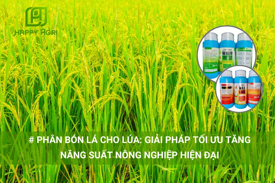 Phân Bón Lá Cho Lúa: Giải Pháp Tối Ưu Tăng Năng Suất Nông Nghiệp Hiện Đại