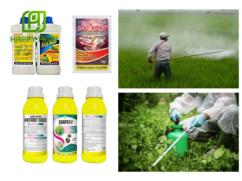 biện pháp phòng trừ sâu bệnh mùa mưa