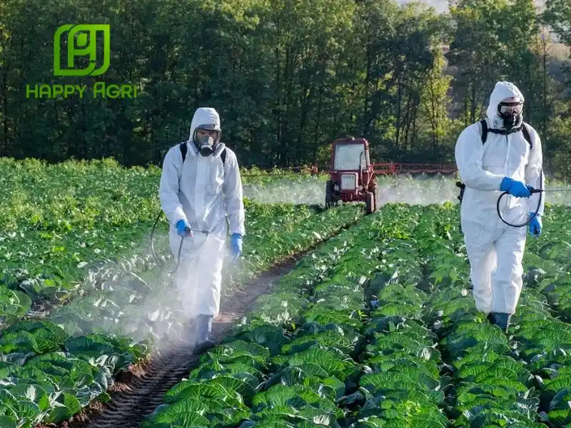 Hướng dẫn sử dụng hoạt chất Kasugamycin hiệu quả