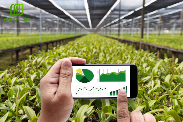 Câu hỏi thường gặp 