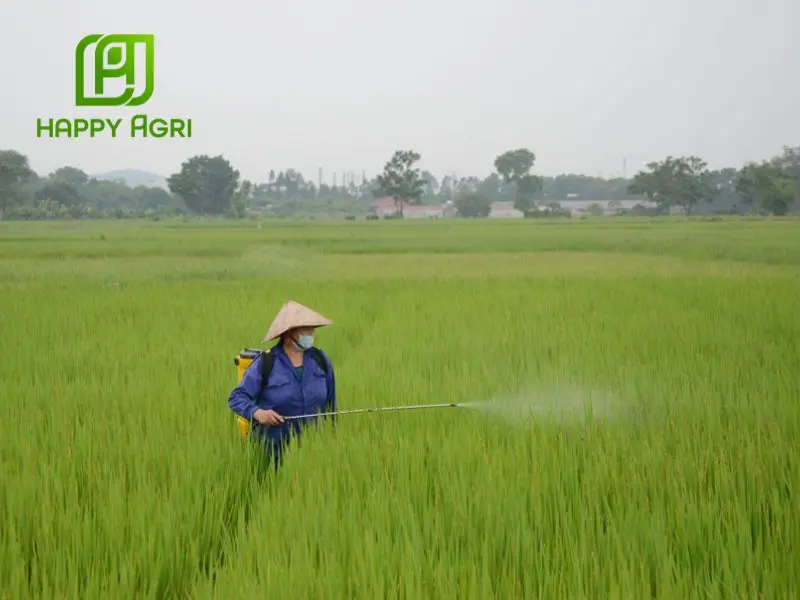 Hướng dẫn sử dụng hoạt chất Difenoconazole đúng cách