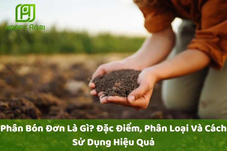 Phân Bón Đơn Là Gì? Đặc Điểm, Phân Loại Và Cách Sử Dụng Hiệu Quả