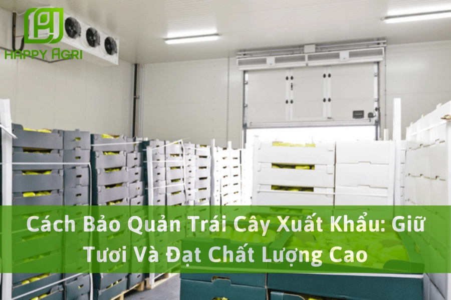 Cách Bảo Quản Trái Cây Xuất Khẩu: Giữ Tươi Và Đạt Chất Lượng Cao