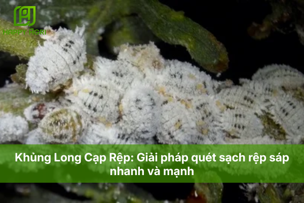Khủng Long Cạp Rệp: Giải pháp quét sạch rệp sáp nhanh và mạnh