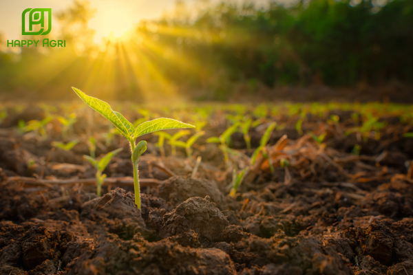 Lợi ích vượt trội của dòng sinh học cho Tầm nhìn 2026