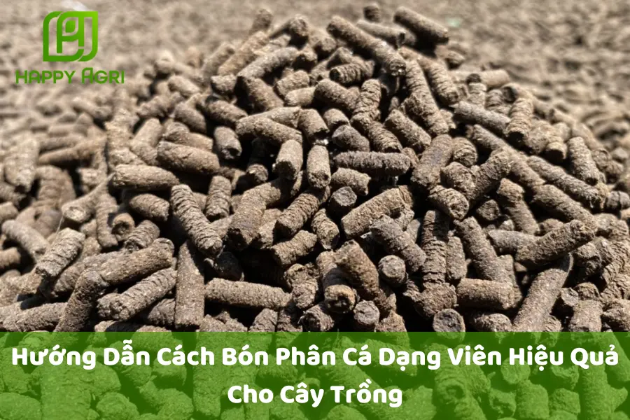 Hướng Dẫn Cách Bón Phân Cá Dạng Viên Hiệu Quả Cho Cây Trồng