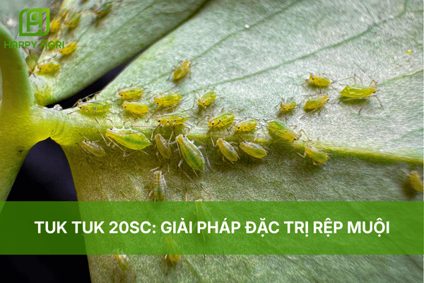 TUK TUK 20SC: GIẢI PHÁP ĐẶC TRỊ RỆP MUỘI