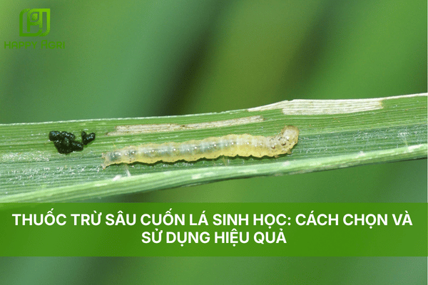 THUỐC TRỪ SÂU CUỐN LÁ SINH HỌC: CÁCH CHỌN VÀ SỬ DỤNG HIỆU QUẢ