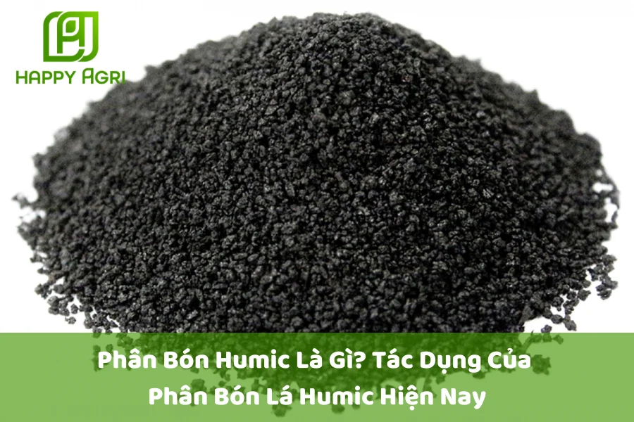 Phân Bón Humic Là Gì? Tác Dụng Của Phân Bón Lá Humic Hiện Nay