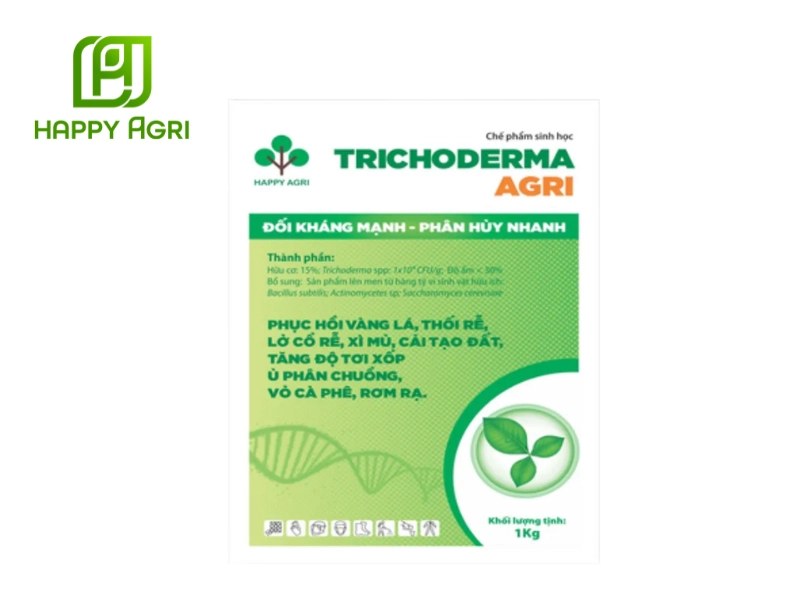 bệnh phấn trắng trên dưa leo
