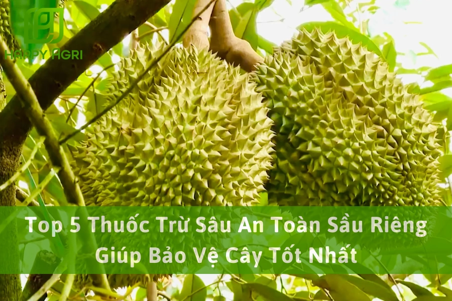Top 5 Thuốc Trừ Sâu An Toàn Sầu Riêng Giúp Bảo Vệ Cây Tốt Nhất