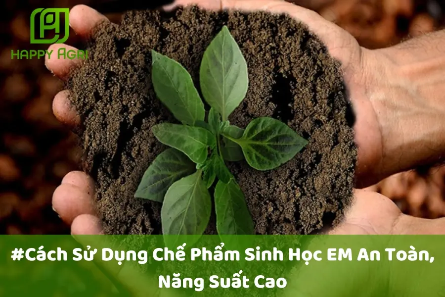 #Cách Sử Dụng Chế Phẩm Sinh Học EM An Toàn, Năng Suất Cao