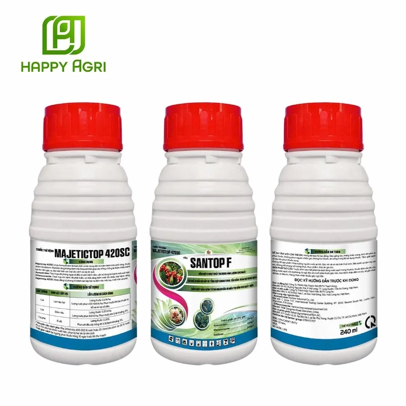 Thuốc trừ bệnh Majetictop 420SC có hiệu quả vượt trội trong việc phòng trừ bệnh thán thư