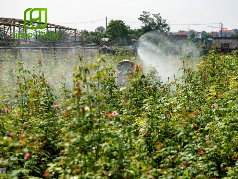 THUỐC TRỪ BỆNH JAPA VIL 110SC HIỆU HEXAFULL 110