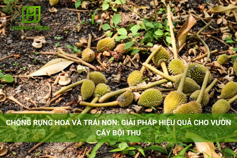 Chống Rụng Hoa và Trái Non: Giải Pháp Hiệu Quả Cho Vườn Cây Bội Thu