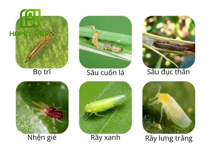 profenofos
