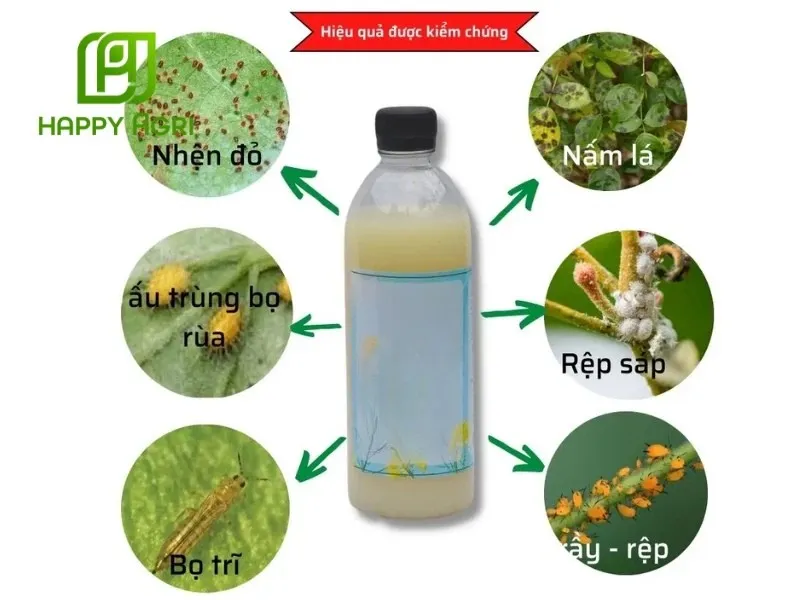 Chế phẩm được sản xuất từ Bacillus Thuringiensis