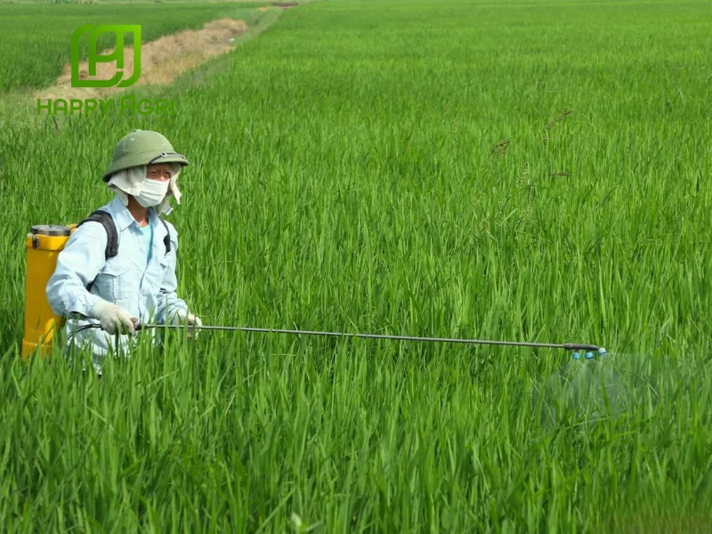 Hướng dẫn dùng ARMATA 22.4SC Hiệu NAGENTO 22.4SC