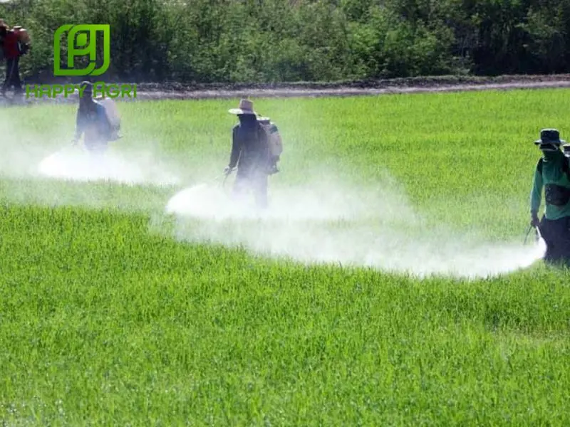 Lời khuyên từ chuyên gia Happy Agri để tối ưu hiệu quả phòng trừ
