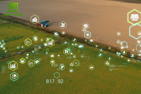 Câu hỏi thường gặp