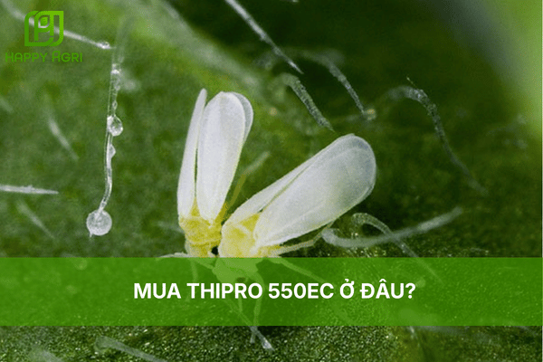 MUA THIPRO 550EC Ở ĐÂU?