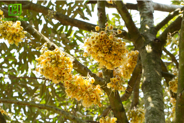 Câu hỏi thường gặp