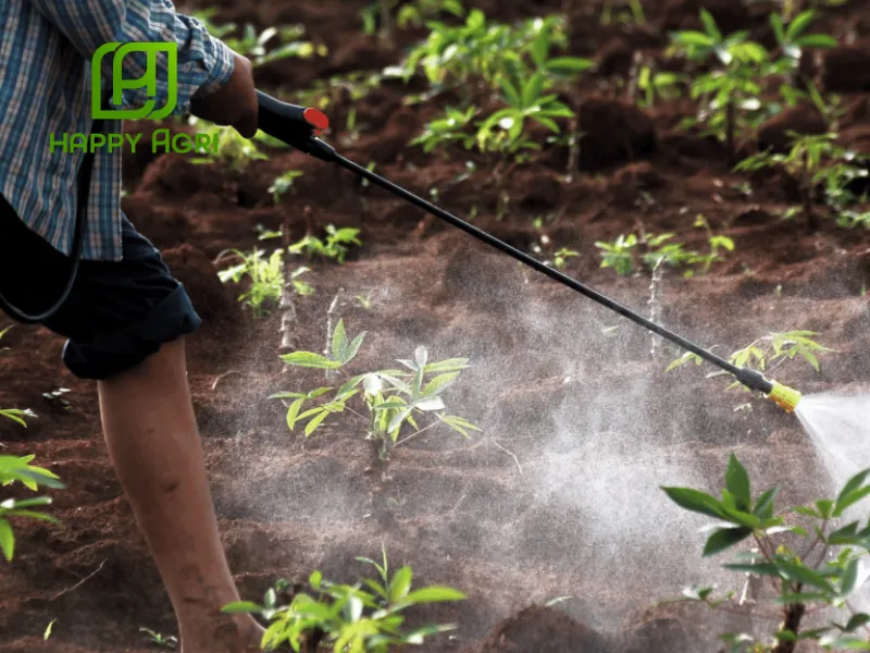 Hướng dẫn sử dụng thuốc trừ sâu Nofara 35WG hiệu HAFATHI