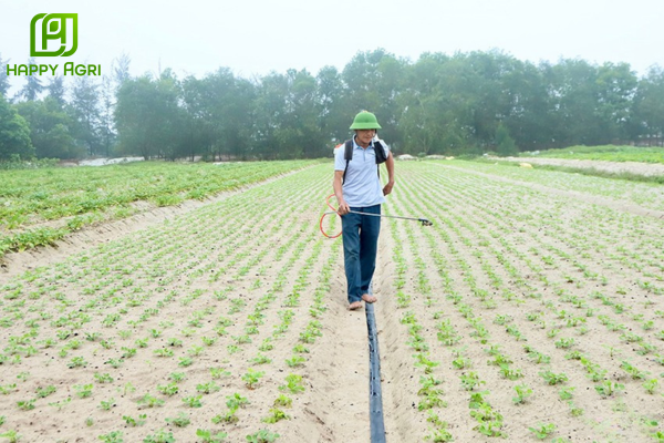 Lưu ý khi sử dụng 