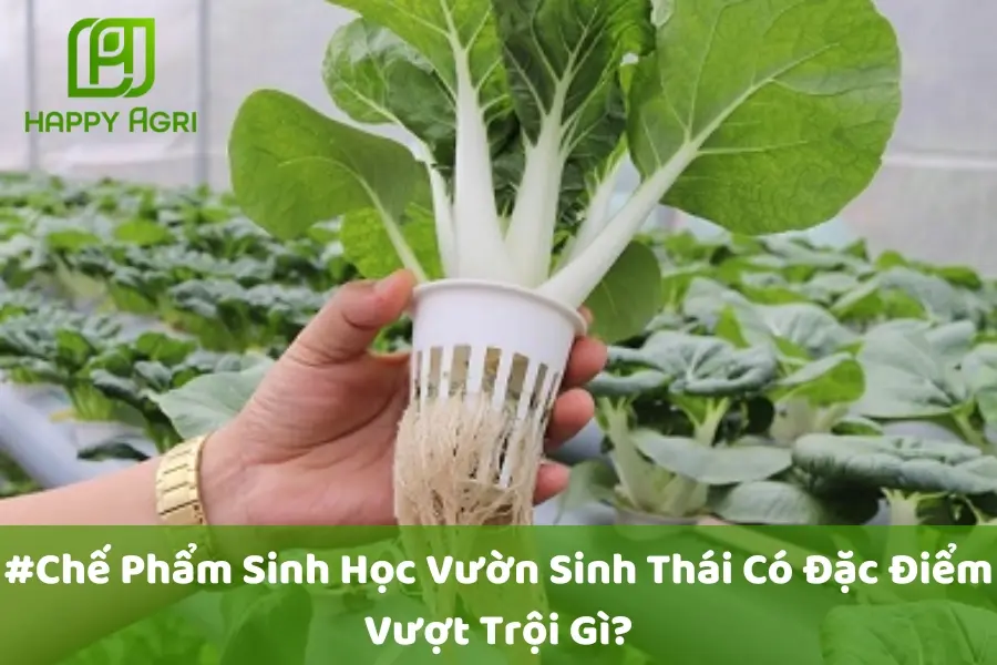 #Chế Phẩm Sinh Học Vườn Sinh Thái Có Đặc Điểm Vượt Trội Gì?