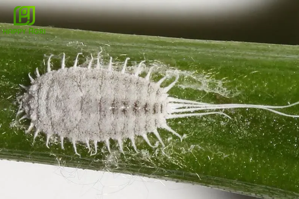 Câu hỏi thường gặp