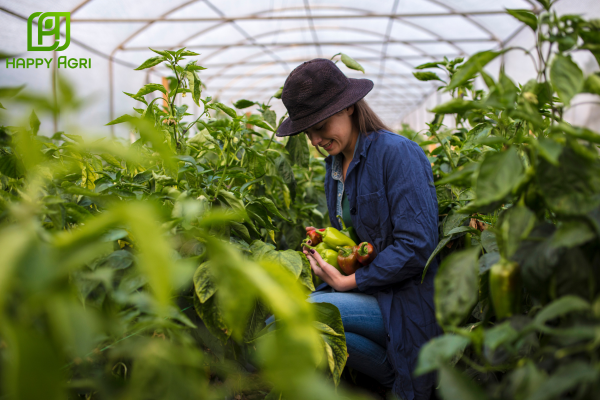 Câu hỏi thường gặp