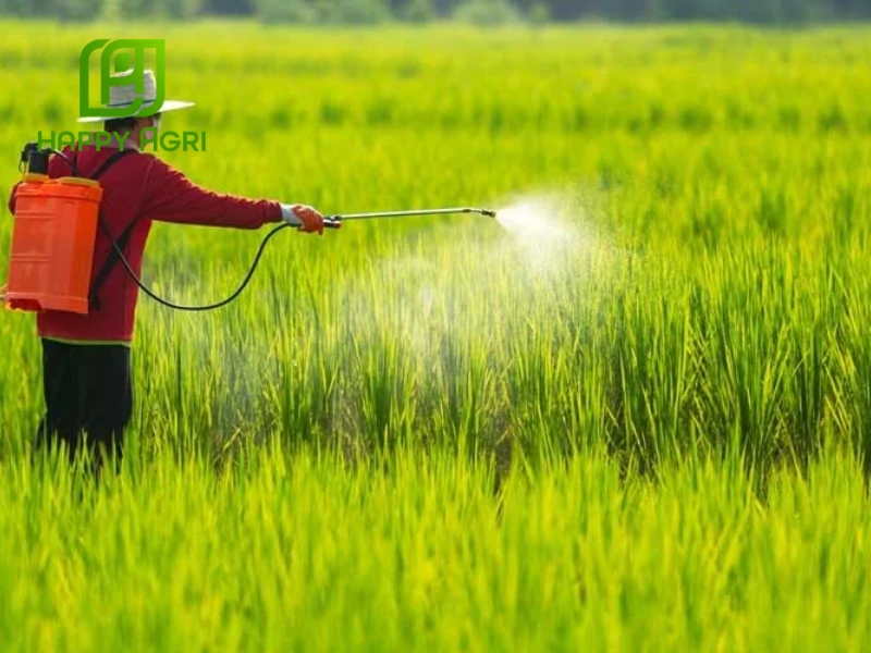 mùa nào sâu bệnh phát triển mạnh nhất