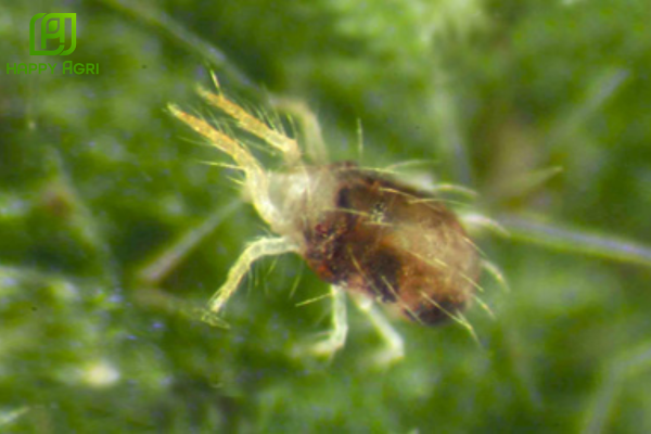  Câu hỏi thường gặp