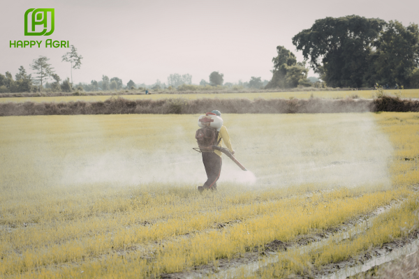 Lưu ý an toàn khi sử dụng