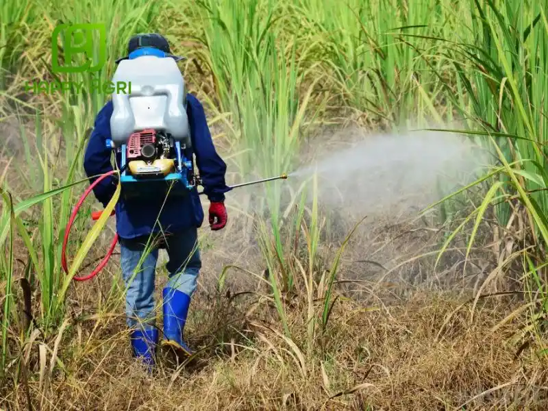 Lưu ý khi sử dụng và bảo quản các sản phẩm chứa Acetochlor
