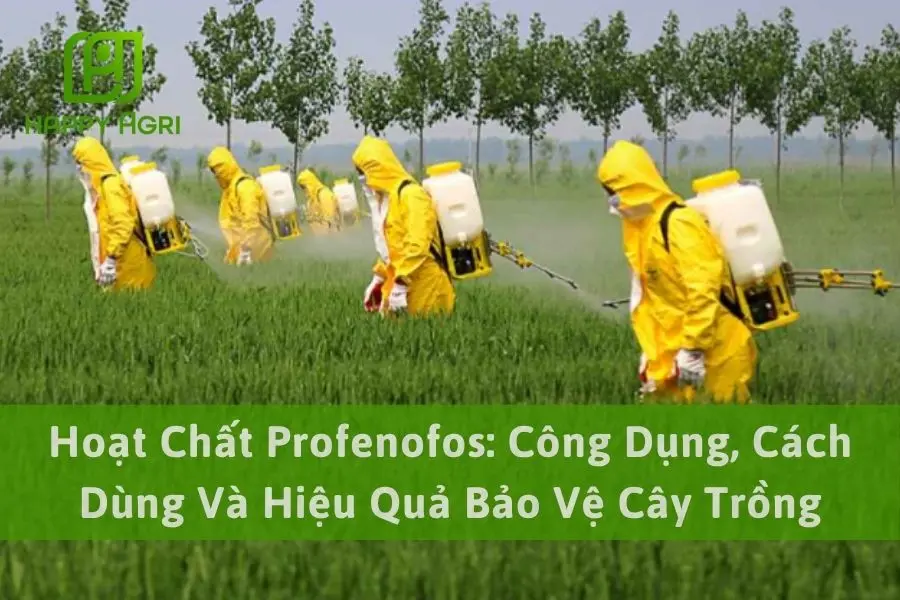 Hoạt Chất Profenofos: Công Dụng, Cách Dùng Và Hiệu Quả Bảo Vệ Cây Trồng