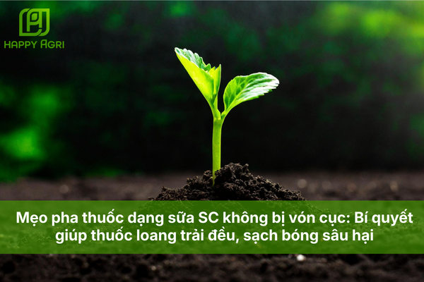 Mẹo pha thuốc dạng sữa SC không bị vón cục: Bí quyết giúp thuốc loang trải đều, sạch bóng sâu hại
