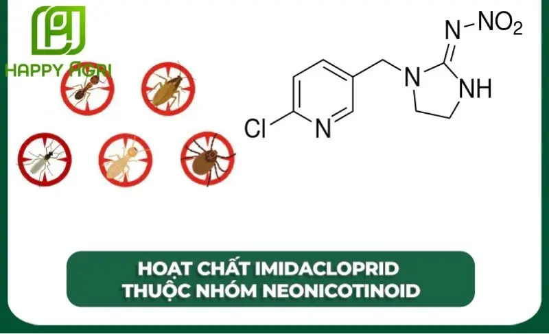 imidacloprid