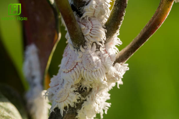 Câu hỏi thường gặp