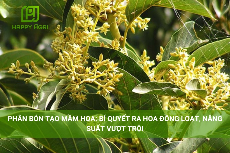 Phân Bón Tạo Mầm Hoa: Bí Quyết Ra Hoa Đồng Loạt, Năng Suất Vượt Trội