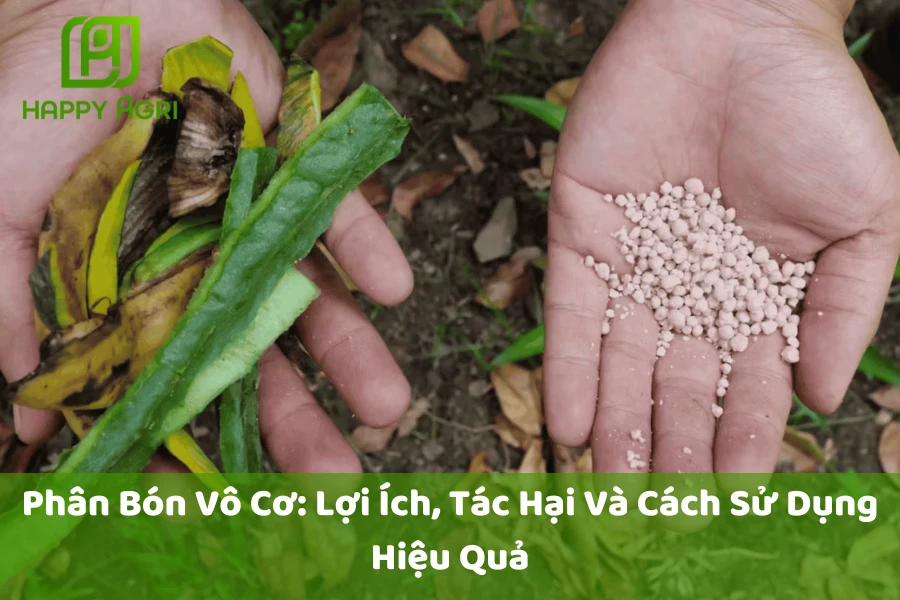 Phân Bón Vô Cơ: Lợi Ích, Tác Hại Và Cách Sử Dụng Hiệu Quả