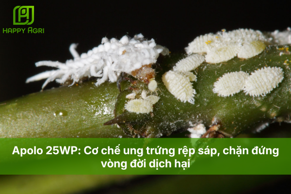 Apolo 25WP: Cơ chế ung trứng rệp sáp, chặn đứng vòng đời dịch hại