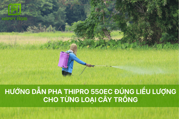 HƯỚNG DẪN PHA THIPRO 550EC ĐÚNG LIỀU LƯỢNG CHO TỪNG LOẠI CÂY TRỒNG