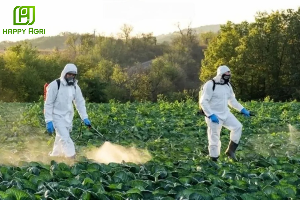 Lưu ý khi sử dụng