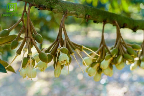 Câu hỏi thường gặp